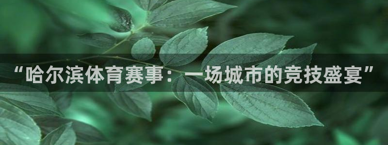 “哈尔滨体育赛事：一场城市的竞技盛宴”