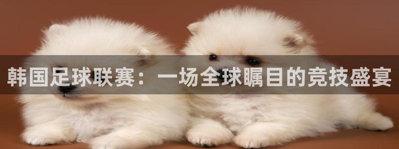 韩国足球联赛：一场全球瞩目的竞技盛宴