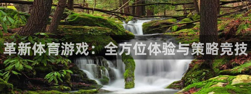 革新体育游戏：全方位体验与策略竞技