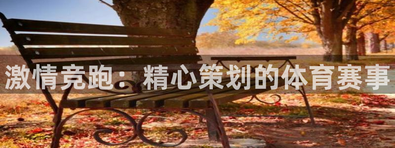 激情竞跑：精心策划的体育赛事