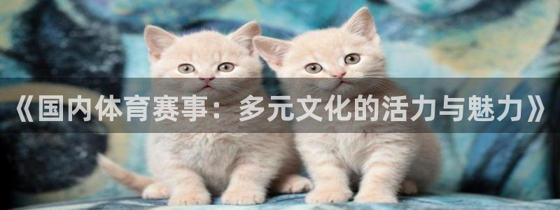 《国内体育赛事：多元文化的活力与魅力》