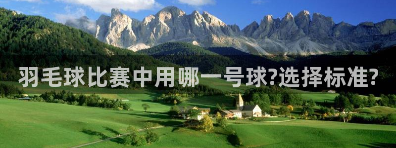 羽毛球比赛中用哪一号球?选择标准?