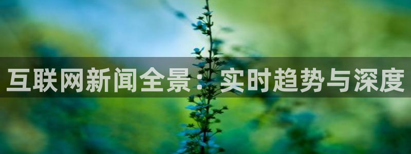 互联网新闻全景：实时趋势与深度